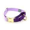 side-release martingale collar / brass snap - Major Darling