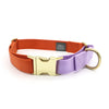 side-release martingale collar / brass snap - Major Darling