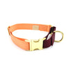 side-release martingale collar / brass snap - Major Darling