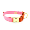 side-release martingale collar / brass snap - Major Darling