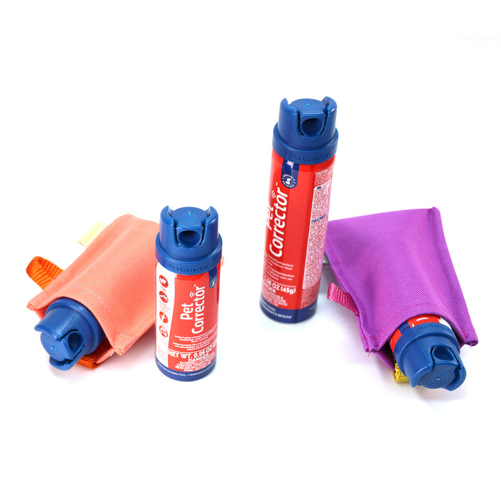 fanny pack safety holster