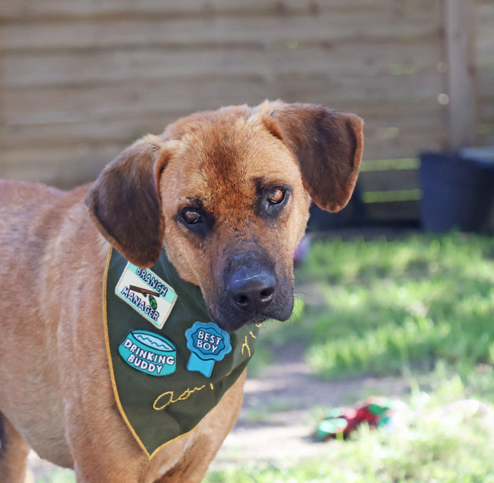 Merit Badge for the Scout Bandana