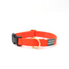 basic snap collar / neon - Major Darling