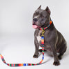 not-so-basic leash / serape