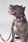 not-so-basic snap collar / serape