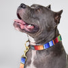 not-so-basic snap collar / serape