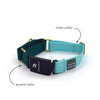 Series 3 (THREE) Fi compatible martingale collar / custom colors