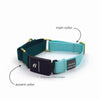 Series 3 (THREE) / 3+ (THREE PLUS) Fi compatible martingale collar / custom colors
