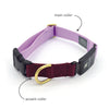 Series 3 (THREE) Fi compatible snap collar / custom colors