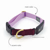 Series 3 (THREE) / 3+ (THREE PLUS) Fi compatible snap collar / custom colors