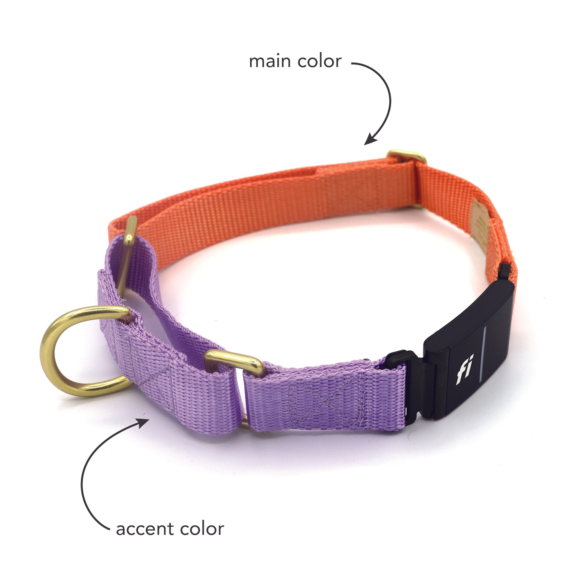 Series 3 Fi compatible martingale collar / custom colors Major Darling