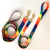 sample sale / not so basic leash rainbow 3/4" wide 41" long