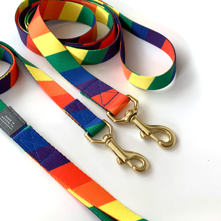 not-so-basic leash / rainbow