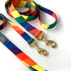 not-so-basic snap collar / rainbow