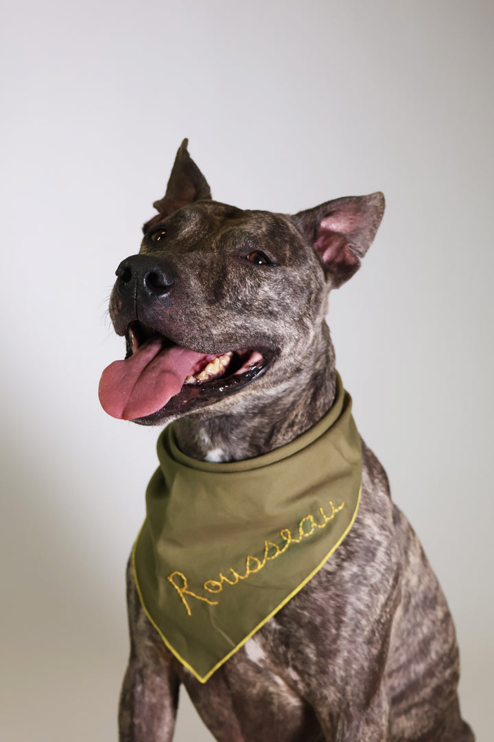 scout bandana - Major Darling