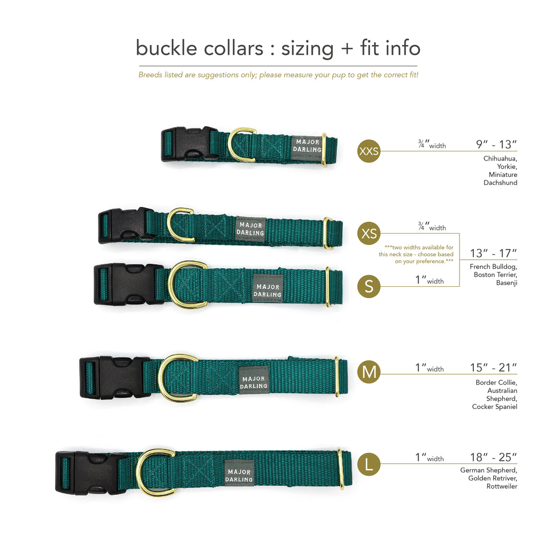 not-so-basic snap collar / leopard