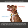 Series 3 (THREE) Fi compatible martingale collar / custom colors