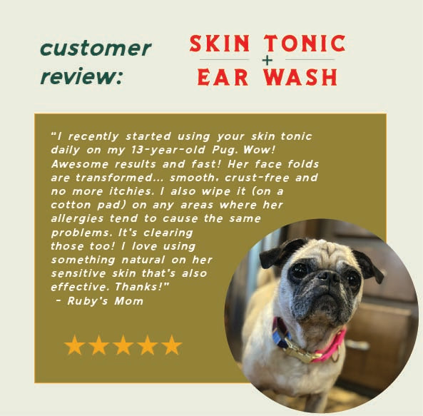 skin tonic + ear wash