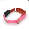 Series 2 (TWO) Fi compatible martingale collar / custom colors