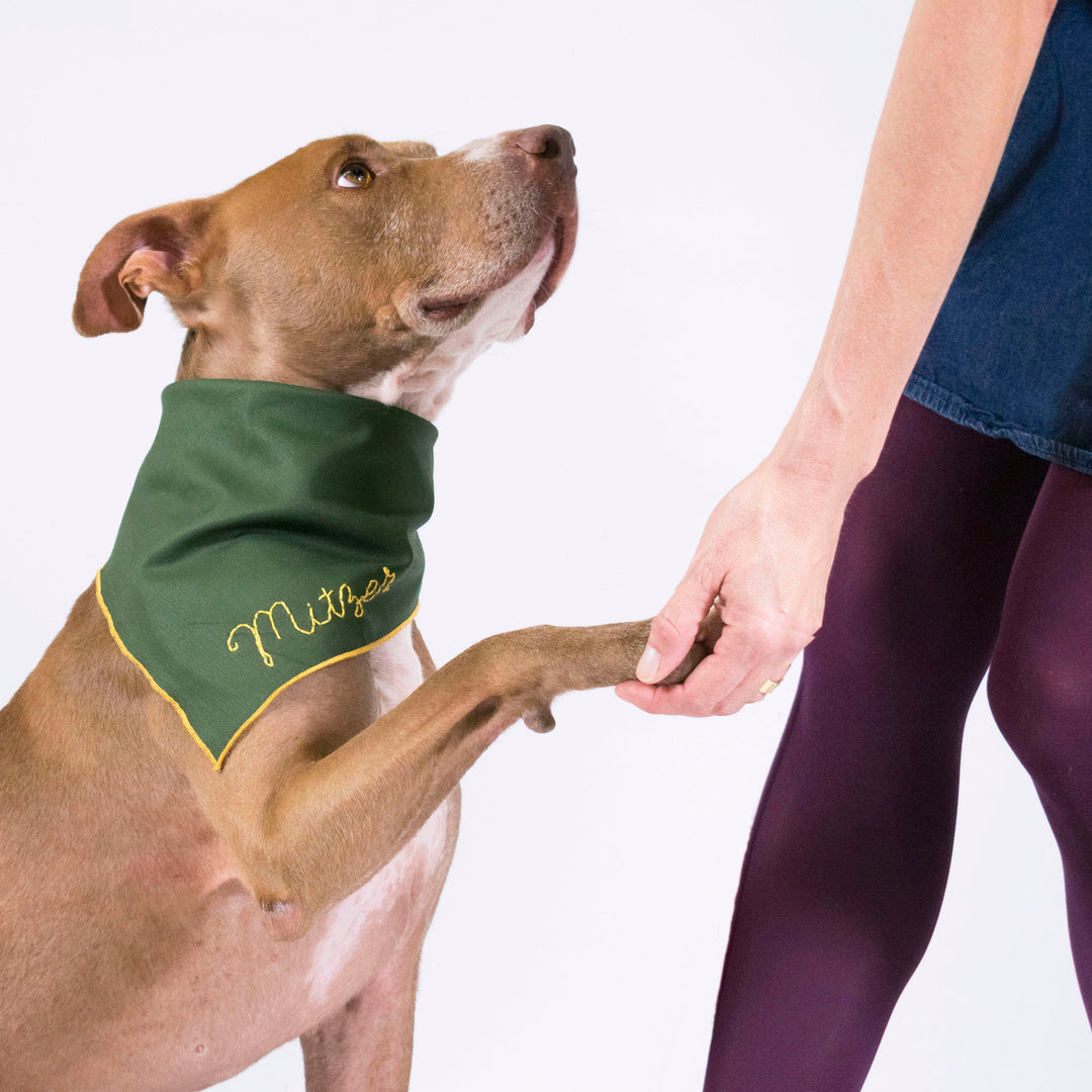 scout bandana - Major Darling