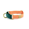 martingale collar / peach + teal