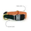 Series 2 (TWO) Fi compatible snap collar / custom colors