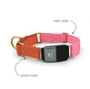 Series 2 (TWO) Fi compatible martingale collar / custom colors