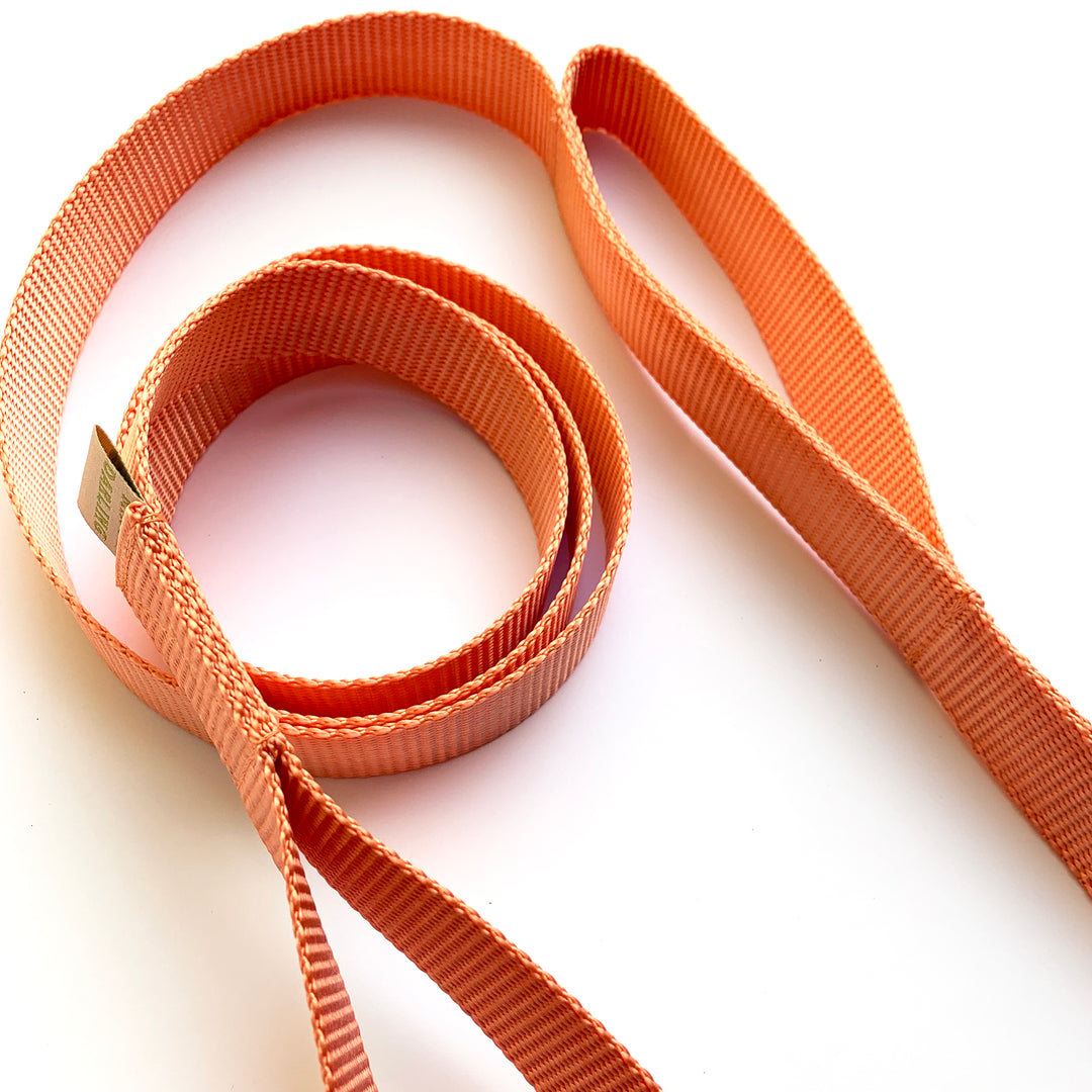 double handle leash / traffic leash - Major Darling