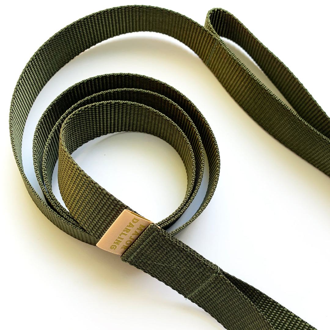double handle leash / traffic leash - Major Darling