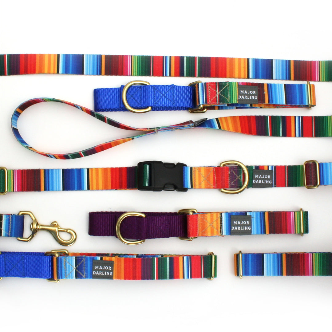 not-so-basic leash / serape - Major Darling