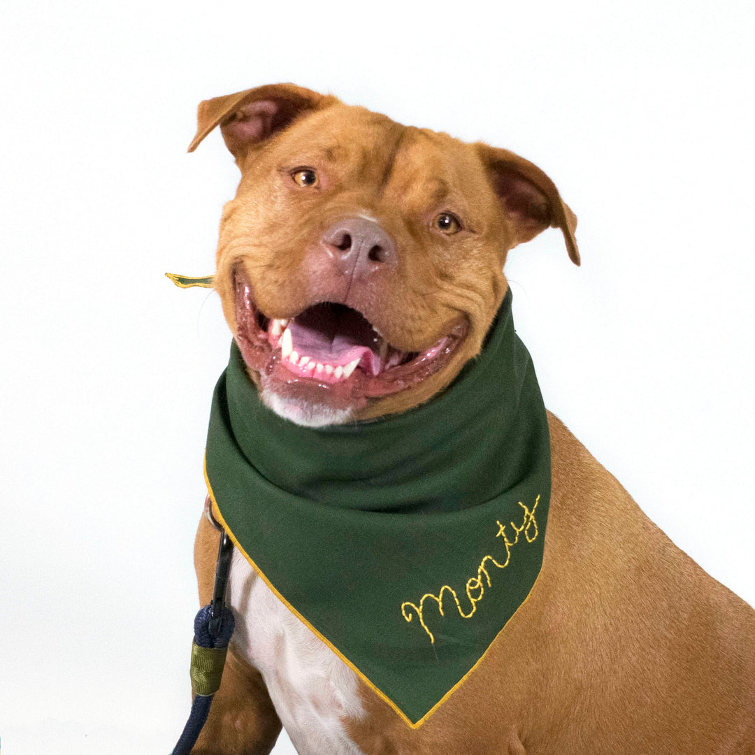 scout bandana - Major Darling