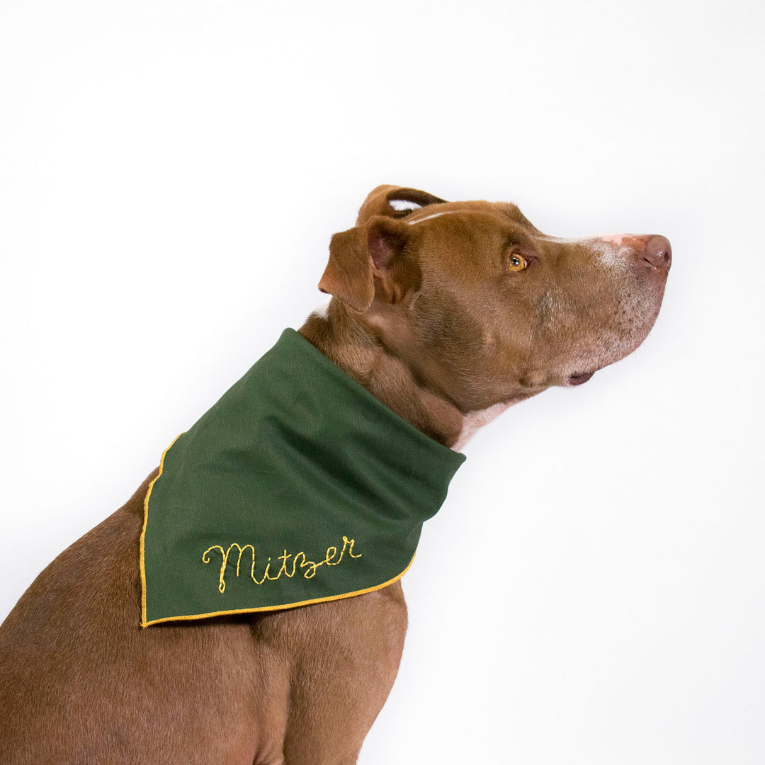 scout bandana - Major Darling