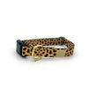 snap collar / leopard