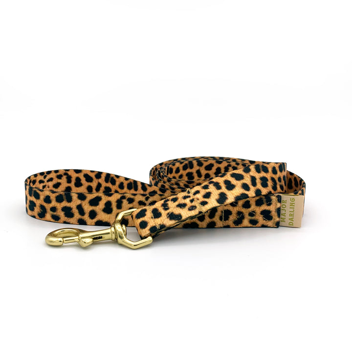 not-so-basic leash / leopard - Major Darling