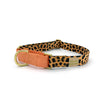 martingale collar / leopard + peach