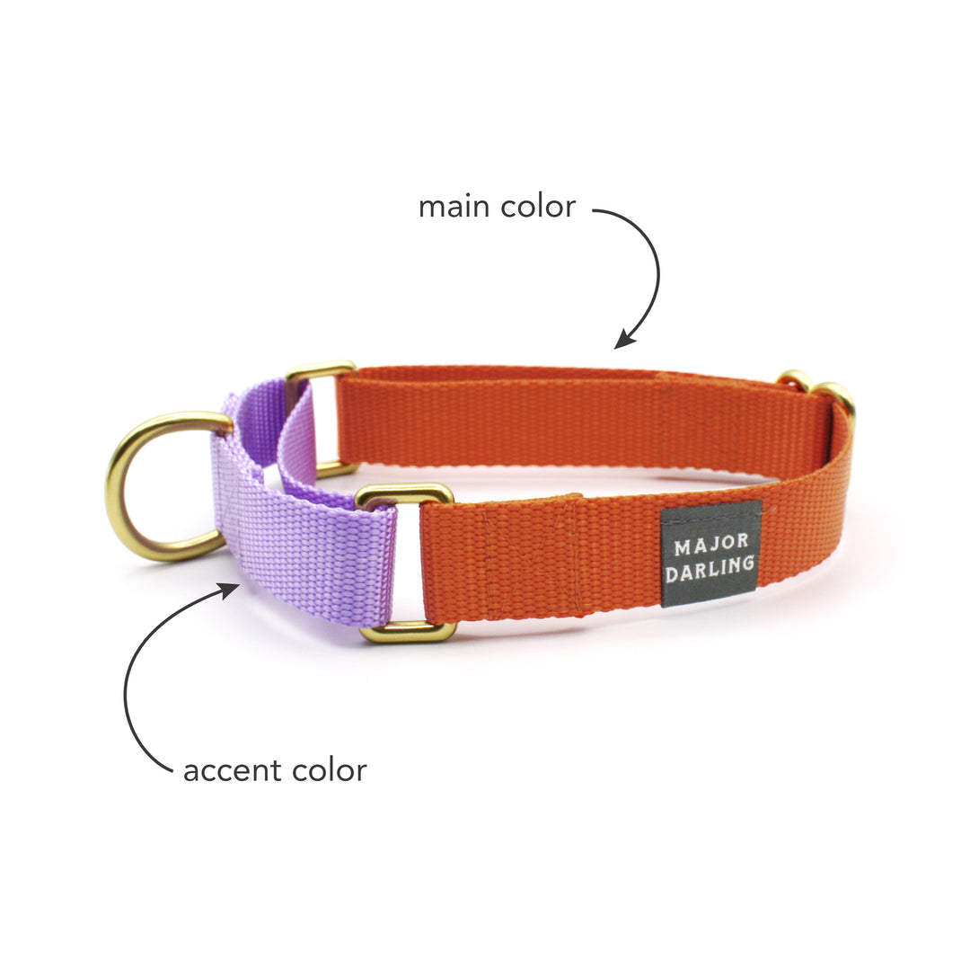 martingale collar / CUSTOM COLORS - Major Darling