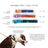 martingale collar / CUSTOM COLORS
